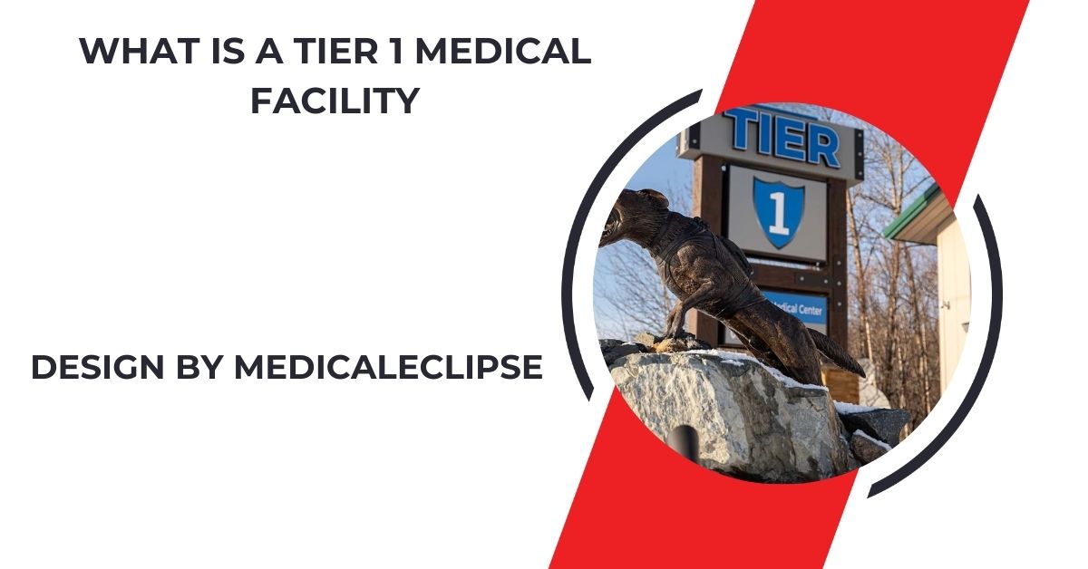 what is a tier 1 medical facility