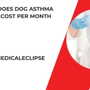 How Much Does Dog Asthma Medication Cost Per Month