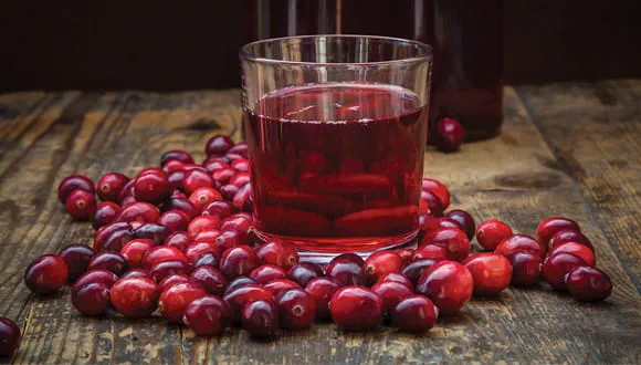 1. Helps Prevent Urinary Tract Infections (UTIs)