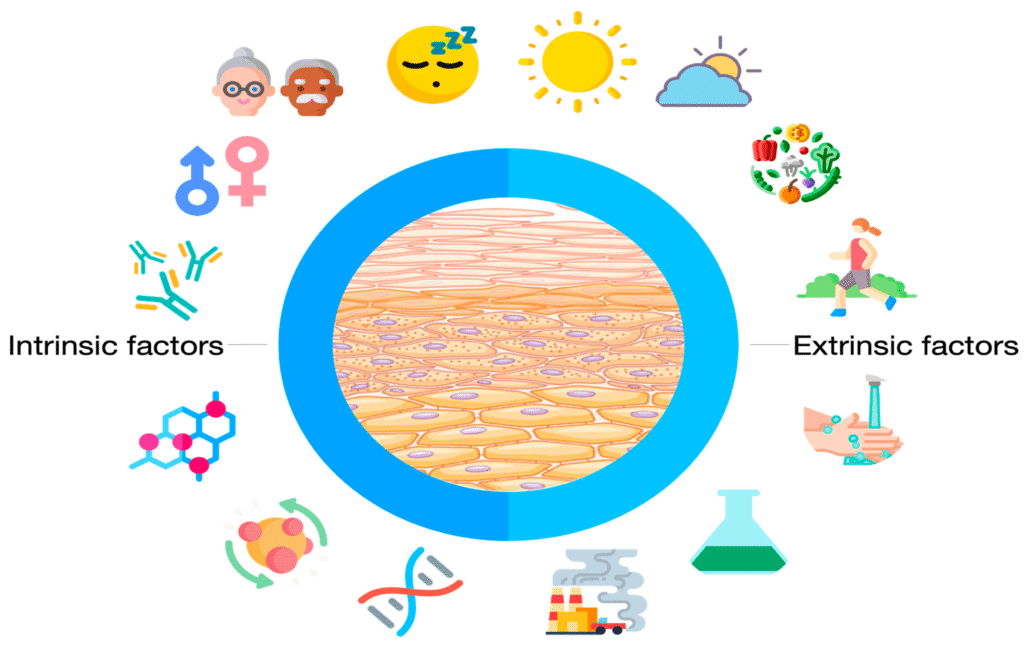 7. Supports Mental and Cognitive Health